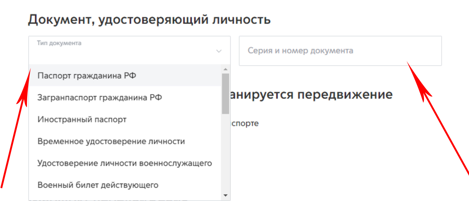 Как получить пропуск в Москве