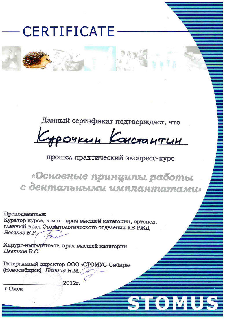 Курочкин Константин Андреевич - Сертификат Курочкина Константина Андреевича